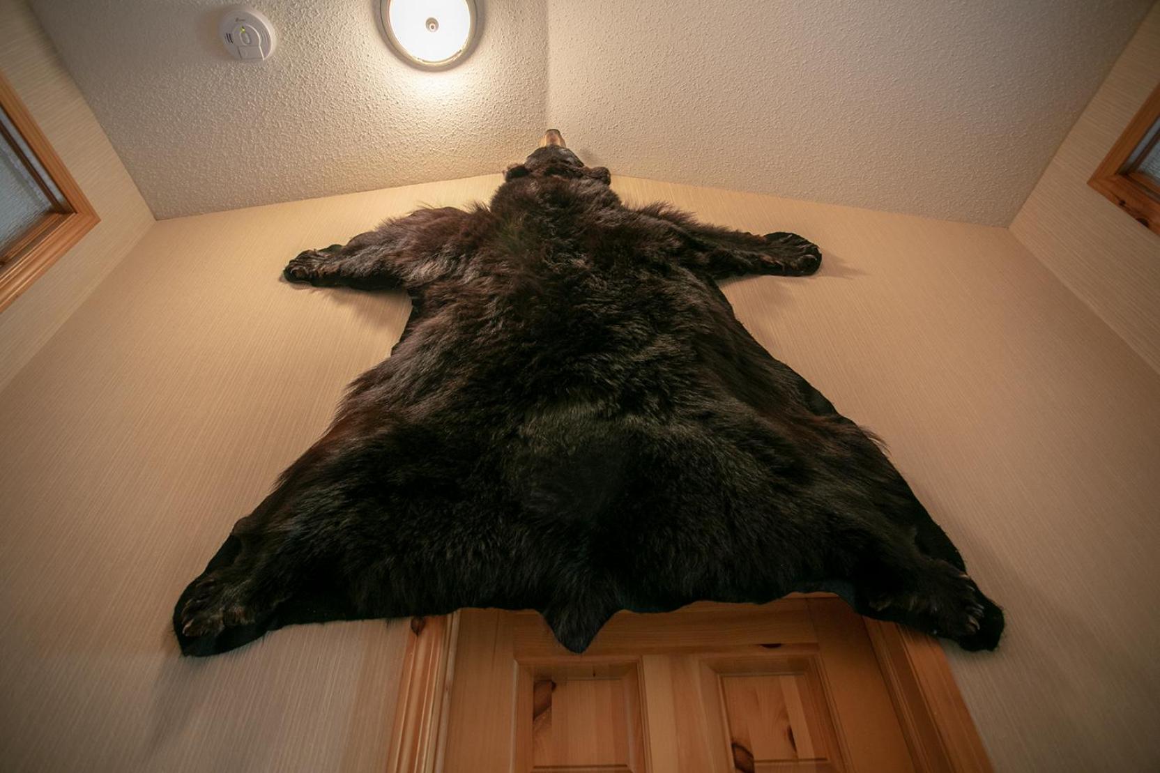 Banff Wood Lodge Canmore Luaran gambar