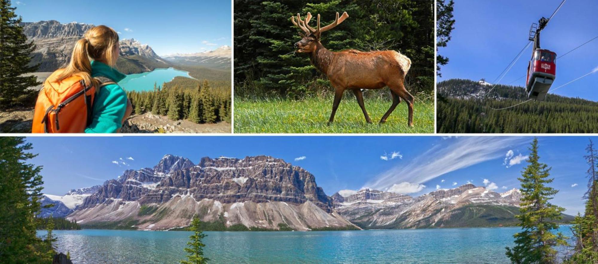 Banff Wood Lodge Canmore Luaran gambar